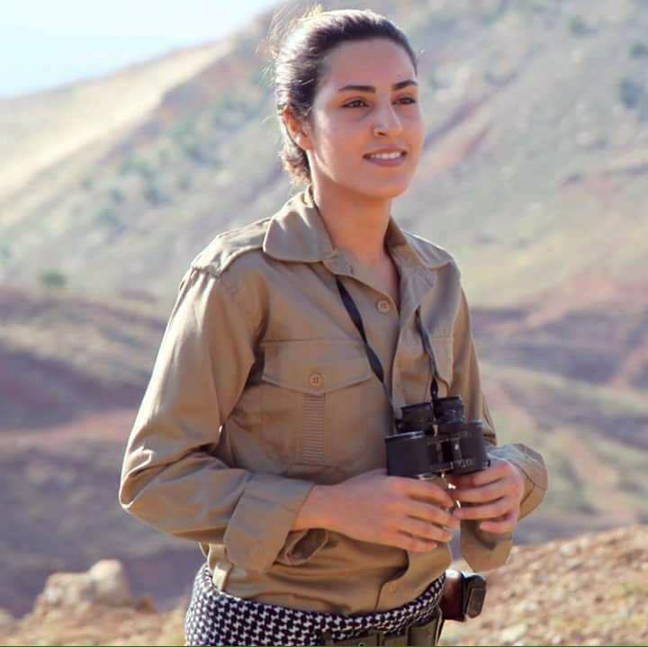 روئیا ھاشمی